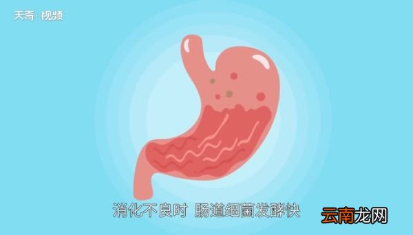 屁的主要成分 屁多又臭是什么原因