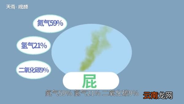 屁的主要成分 屁多又臭是什么原因