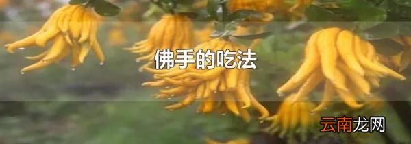 佛手的吃法