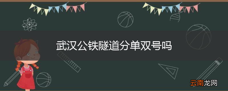 武汉公铁隧道分单双号吗