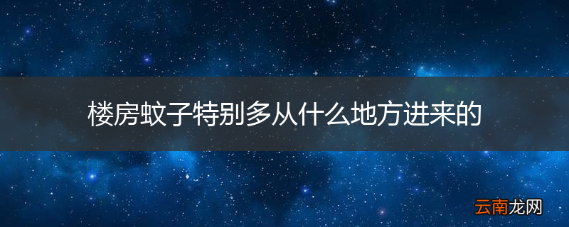 楼房蚊子特别多从什么地方进来的