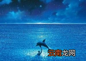 备注blue是什么意思？