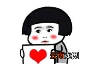 波斯狼酒是什么意思？
