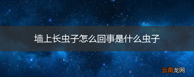 墙上长虫子怎么回事是什么虫子