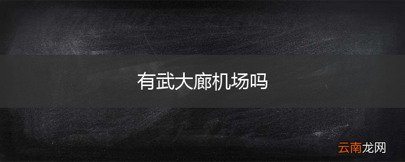 有武大廊机场吗