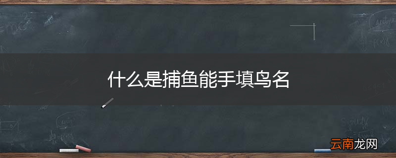 什么是捕鱼能手填鸟名