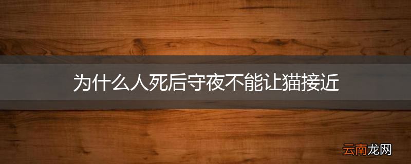 为什么人死后守夜不能让猫接近