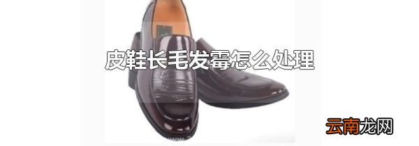 皮鞋长毛发霉怎么处理