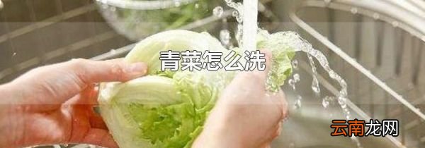 青菜怎么洗