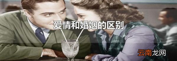 爱情和婚姻的区别