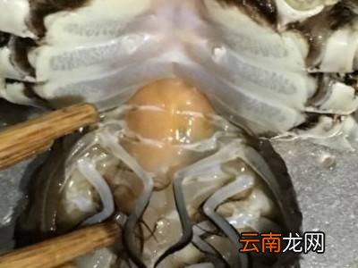 清洗大闸蟹的七个步骤