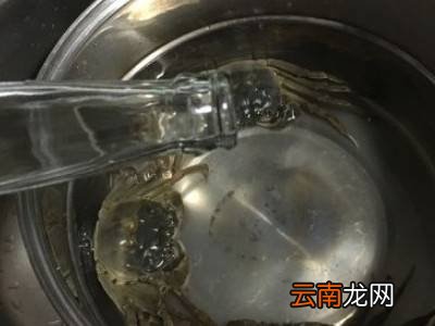 清洗大闸蟹的七个步骤