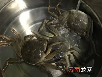 清洗大闸蟹的七个步骤