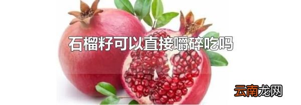石榴籽可以直接嚼碎吃吗