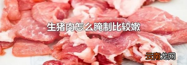 生猪肉怎么腌制比较嫩