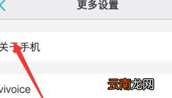vivoS1中找到开发者选项位置具体操作步骤
