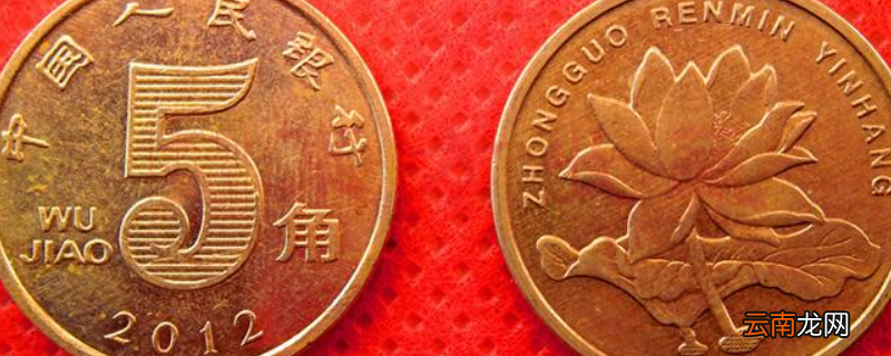 硬币上的花是什么花