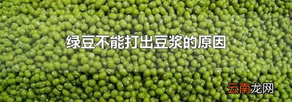绿豆不能打出豆浆的原因