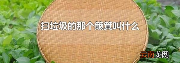 扫垃圾的那个簸箕叫什么