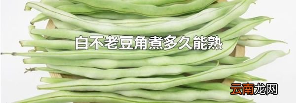 白不老豆角煮多久能熟