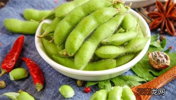 毛豆要煮多长时间 毛豆要煮多久