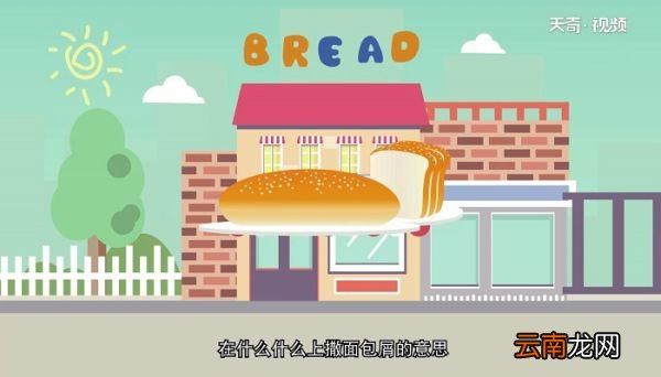 bread可数吗 bread是可数的么