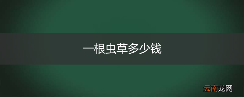 一根虫草多少钱