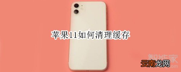 苹果11如何清理缓存