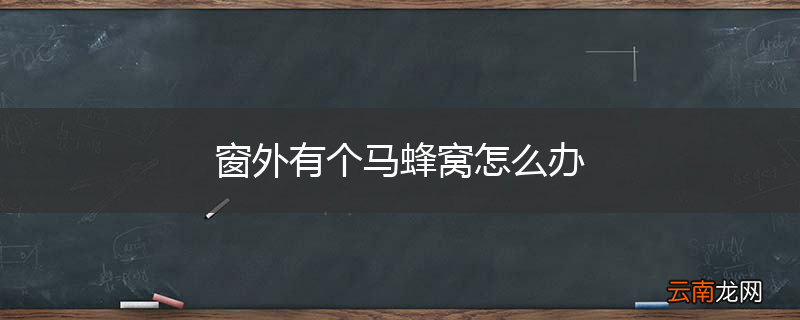 窗外有个马蜂窝怎么办