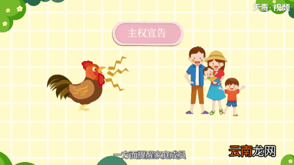 为什么鸡会打鸣 为何鸡会打鸣