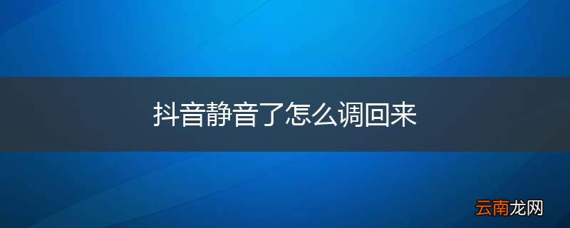 抖音静音了怎么调回来