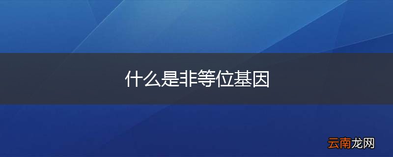 什么是非等位基因