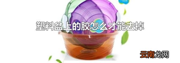塑料盆上的胶怎么才能去掉