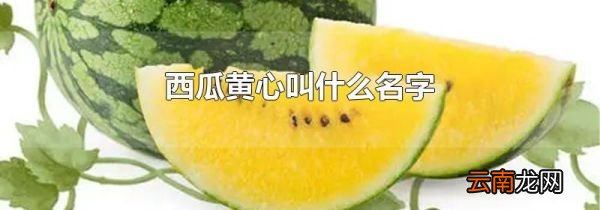 西瓜黄心叫什么名字