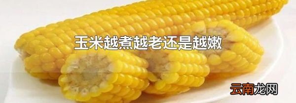 玉米越煮越老还是越嫩