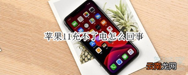 苹果11充不了电怎么回事