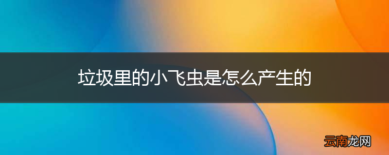 垃圾里的小飞虫是怎么产生的