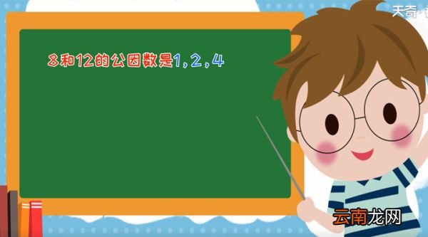 8和12的公因数 8和12的公因数是什么