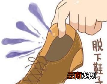 怎样给鞋子除臭