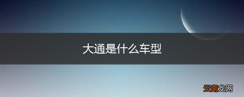 大通是什么车型