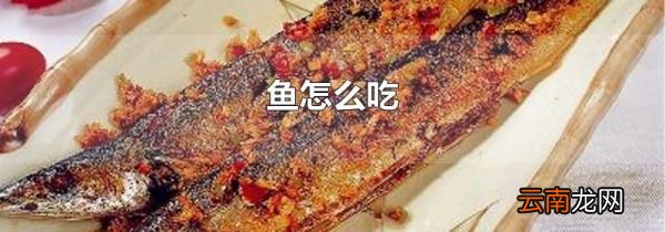 鱼怎么吃
