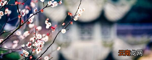 立春有哪些民俗活动 立春的习俗有哪些