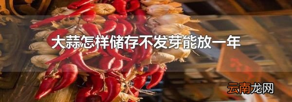 大蒜怎样储存不发芽能放一年