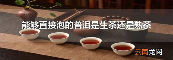 能够直接泡的普洱是生茶还是熟茶