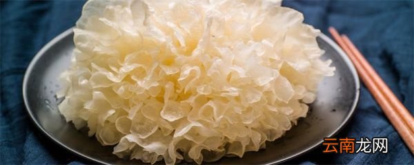 雪耳和银耳是一样的吗 雪耳和银耳是不是一样的