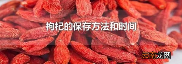 枸杞的保存方法和时间