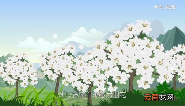 烟花三月下扬州烟花指的什么 烟花三月下扬州的烟花怎么解释