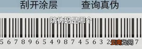 防伪码是哪个
