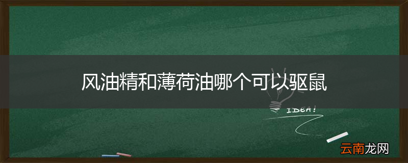 风油精和薄荷油哪个可以驱鼠