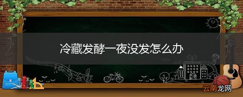 冷藏发酵一夜没发怎么办